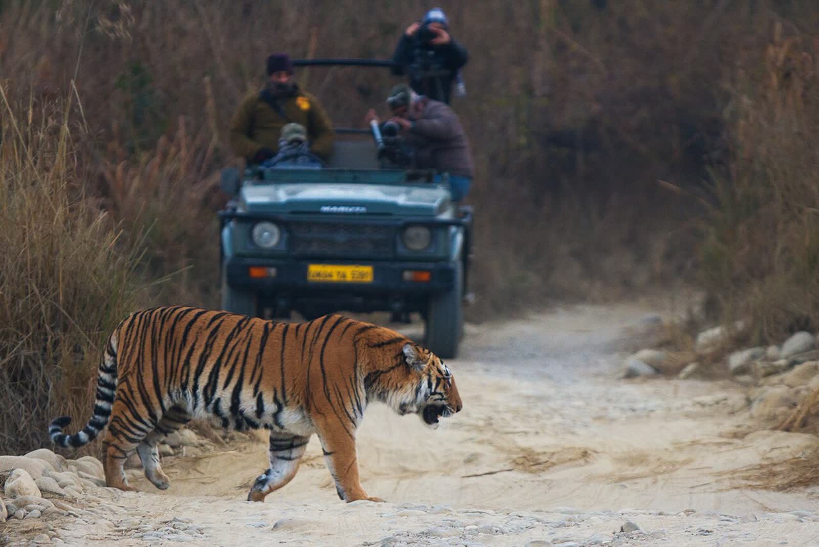 Corbett Tiger Reserve